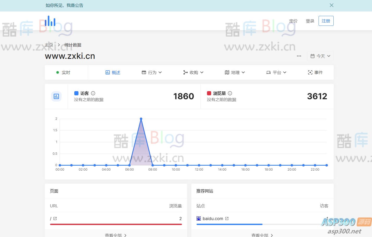 Software轻量网站统计分析系统源码