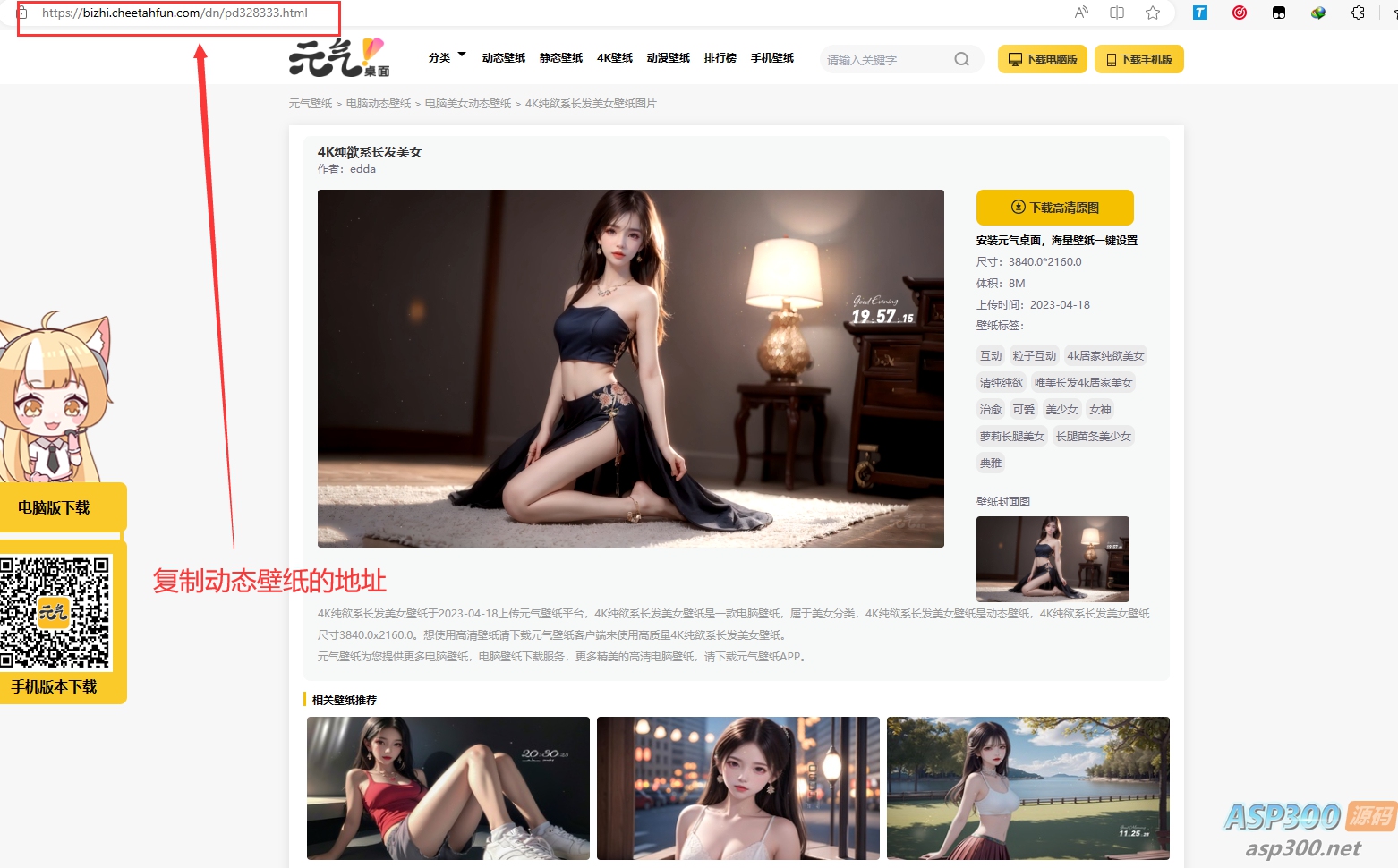 元气动态壁纸在线下载PHP源码