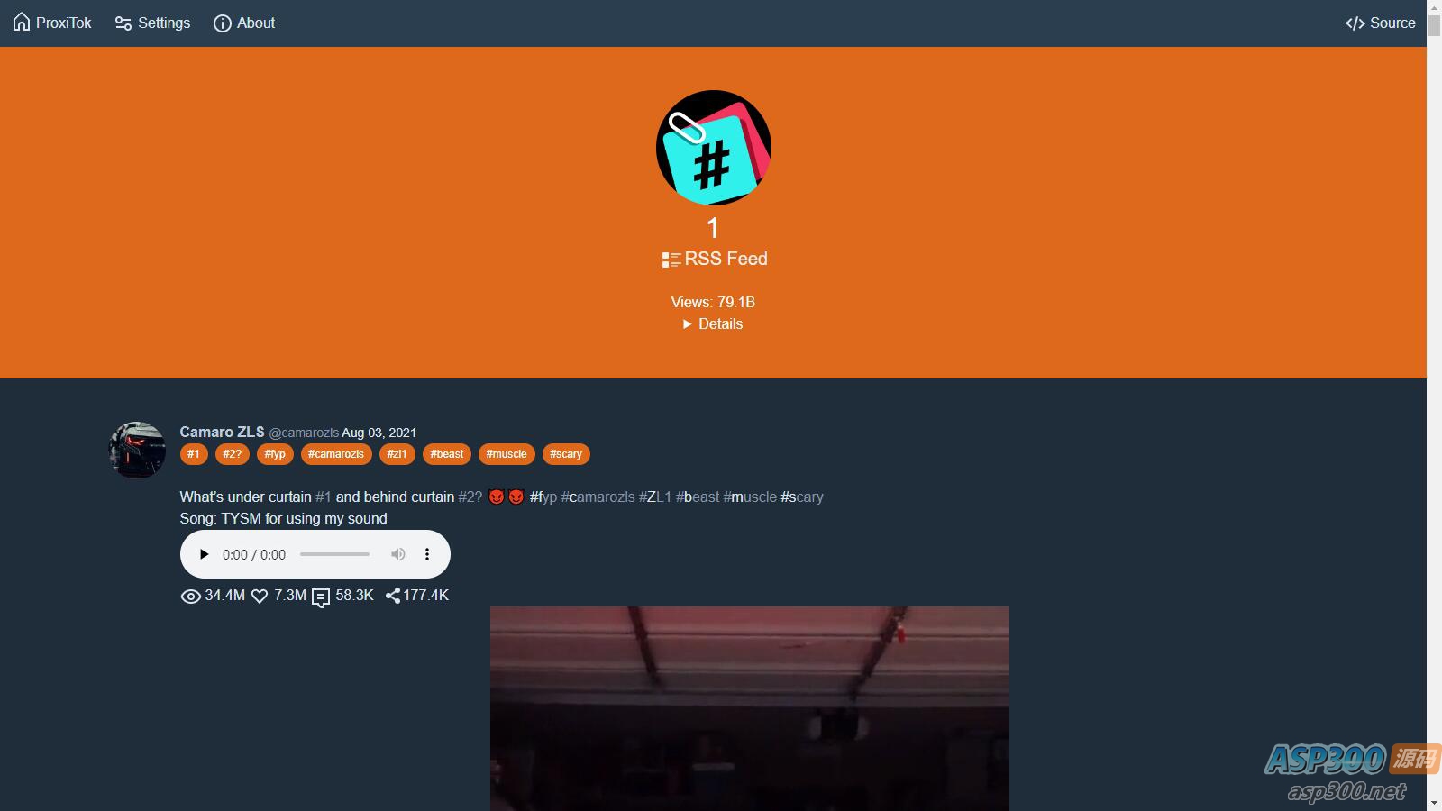 支持国内直连国际版抖音TikTok的简易程序 ProxiTok